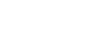 TELEMAX