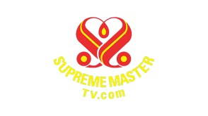 Supreme Master TV