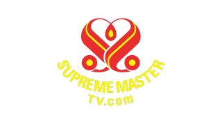 Supreme Master TV