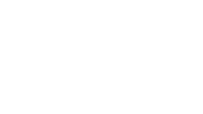 VIVO SPORTS