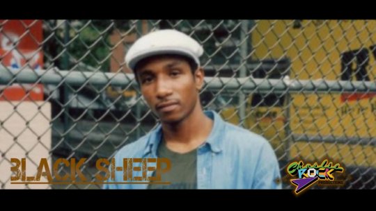 HIPHOP LEGENDS DVD VOL1